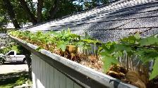 Gutter Grille - Stop leaves from clogging your gutters forever! - Photo 2