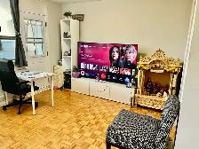 Room / Living Space for Rent – Downtown Toronto