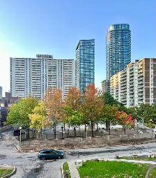 Room / Living Space for Rent – Downtown Toronto - Photo 8