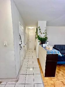 Room / Living Space for Rent – Downtown Toronto - Photo 9