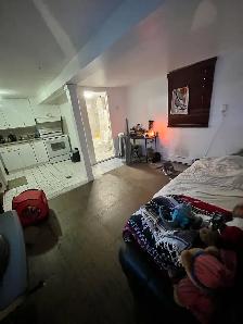 Gatineau apartment by the river - Photo 3