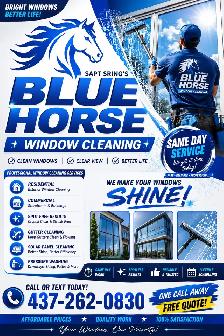 cleaning windows