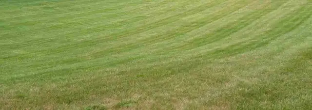 Dog poop & Yard waste removal services