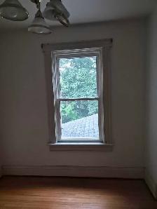 Room for Rent $800 & Large Basement Room $750 - Photo 2