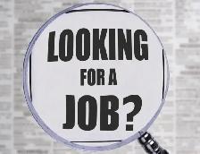looking for job