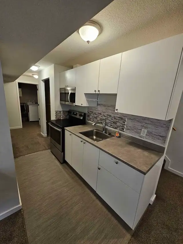 Basement for Rent