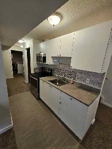 Basement for Rent