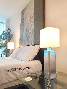 NORTH YORK LUXURY ROOM OFFER @ 401 & DON ILLS RD. - Photo 3