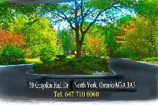NORTH YORK LUXURY ROOM OFFER @ 401 & DON ILLS RD. - Photo 10
