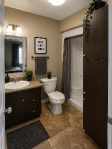 Bachelor Apartment-  MOVE-IN SPECIAL – ONE MONTH FREE - Photo 4