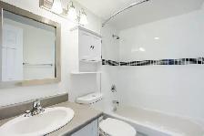 Wellesley Apartments - 1 Bedroom available at 100 Wellesley Stre - Photo 10