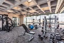 Wellesley Apartments - 1 Bedroom available at 100 Wellesley Stre - Photo 11