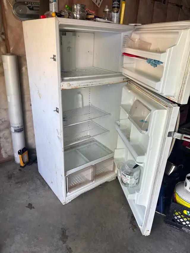 garage fridge
