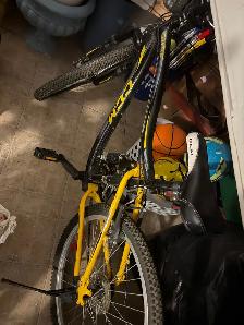 ccm bike