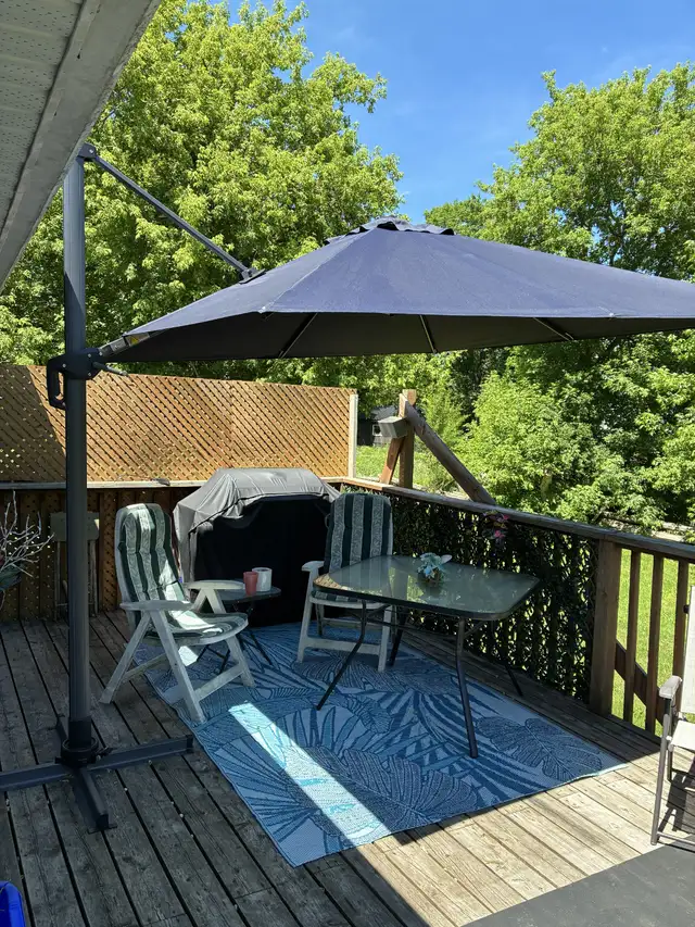 MOVING SALE - Offset umbrella