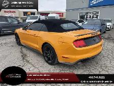 2019 Ford Mustang EcoBoost, Convertible, Camera, Navi, Leather, - Photo 6