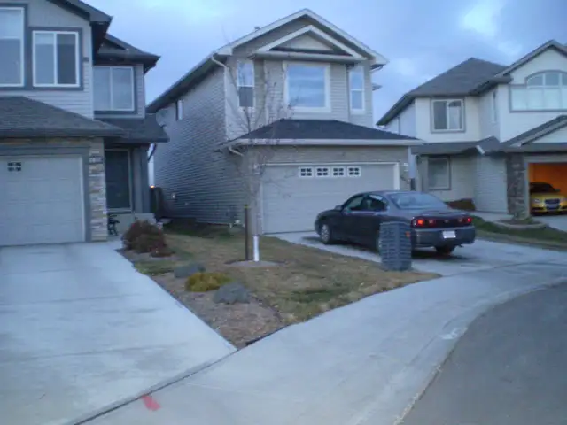 Basement for rent Terwillegar