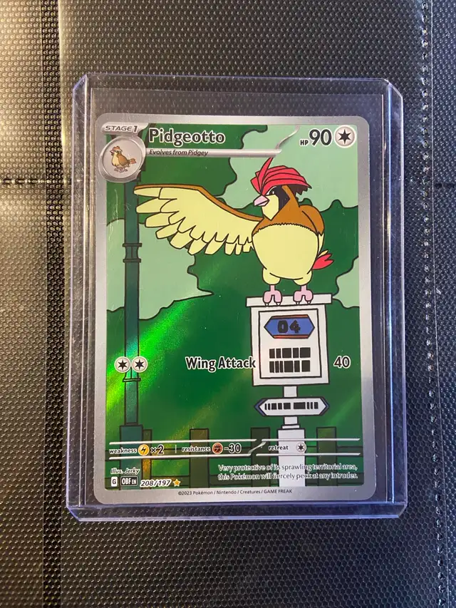 Pidgeotto obsidian flames