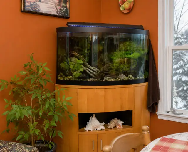 Aqueon Corner Aquarium 55 Gallon