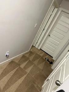 Truckmounted  Steam Carpet/ upholstery cleaning  and shampoo - Photo 2