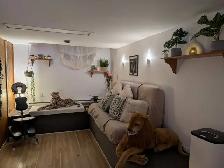 GRAND LOCAL MODERNE TOUT INCLUS! - Photo 3