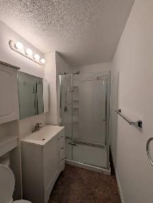 ONE BEDROOM BASEMENT FOR RENT - SCARBOROUGH