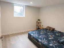 3 Bedroom, 2 bath basement for rent, Queen & McLaughlin ave - Photo 3
