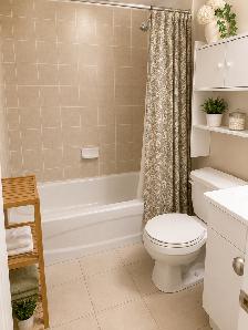 3 Bedroom, 2 bath basement for rent, Queen & McLaughlin ave - Photo 6