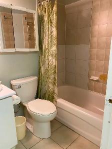 3 Bedroom, 2 bath basement for rent, Queen & McLaughlin ave - Photo 7