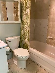 3 Bedroom, 2 bath basement for rent, Queen & McLaughlin ave - Photo 8