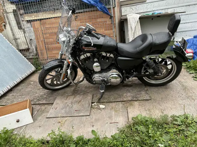 Motorcycle ( Harley Davidson) for sale