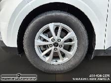 2022 Kia Carnival LX One Owner, Remote Start, 3rd Row Seating, A - Photo 7