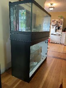 saltwater aquarium