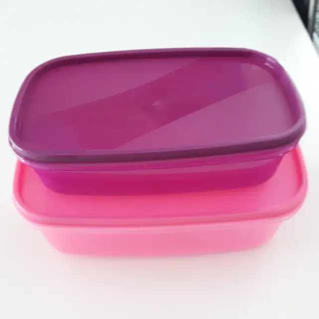 2 PLATS NEUFS PLASTIQUE SOLIDE POUR LUNCH OU AUTRE: $5.00 CHACUN