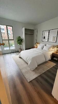 Renovated 1-Bedroom in Cambie / Fairview $2325/month - Photo 2