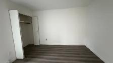 Renovated 1-Bedroom in Cambie / Fairview $2325/month - Photo 4