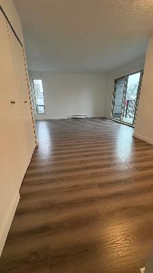 Renovated 1-Bedroom in Cambie / Fairview $2325/month - Photo 8