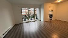 Renovated 1-Bedroom in Cambie / Fairview $2325/month - Photo 9