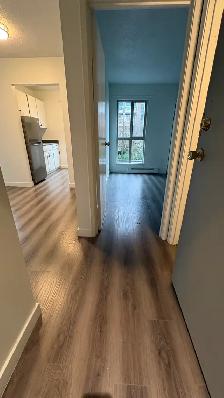 Renovated 1-Bedroom in Cambie / Fairview $2325/month - Photo 10