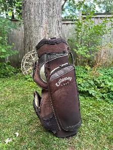 ⛳️TAYLOR MADE CALLAWAY GOLF BAGS AND CART - Photo 6