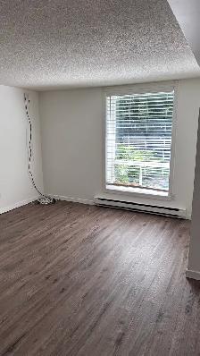 2 bedroom apartment downtown Huntsville - Photo 5