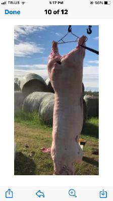 BUTCHER  FOR  HIRE - Photo 3