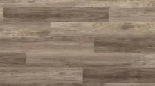 Evoke Solis Eron, SPC Click Vinyl Plank 5mm thick $1.25 sq ft - Photo 3
