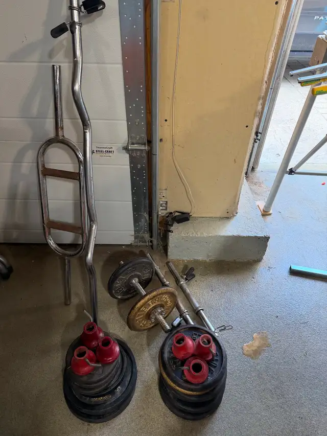 Weights  3  Dumbells   Tricep bar   curl bar and straight bar