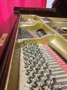 ANNUAL PIANO MAINTENANCE  514-409-0788