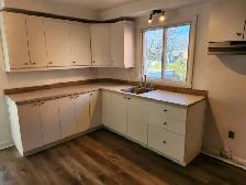 4 1/2 Appartement A Louer Sur la Rue René-Philippe A Lemoyne
