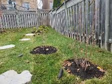 Looking for Landscaping worker. Full-time
