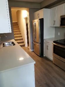 3 Bed Triplex - Photo 3