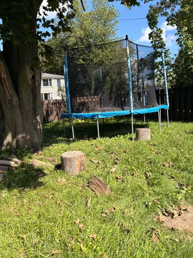 trampoline
