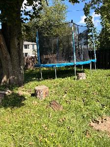trampoline
